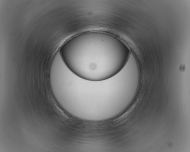 X0000093131177200709261029