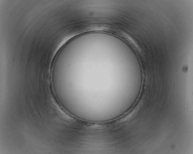 X0000093131178200709261029