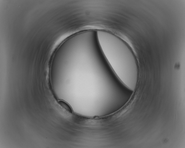 X0000093131179200709261029