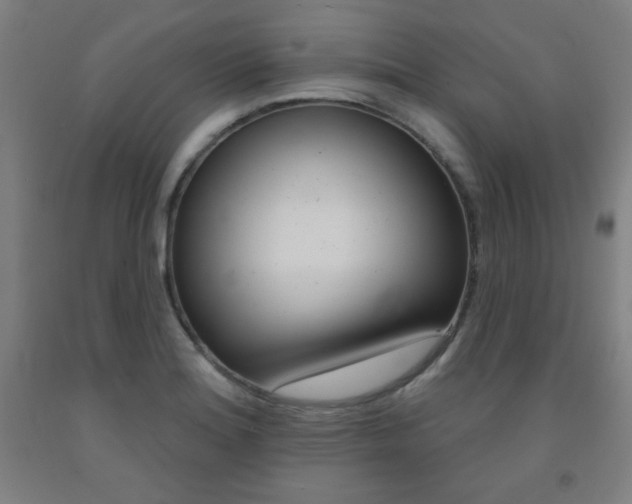 X0000093131180200709261029