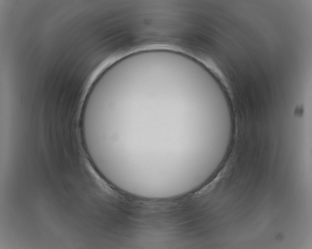 X0000093131181200709261029