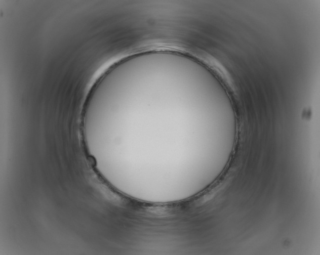 X0000093131182200709261029