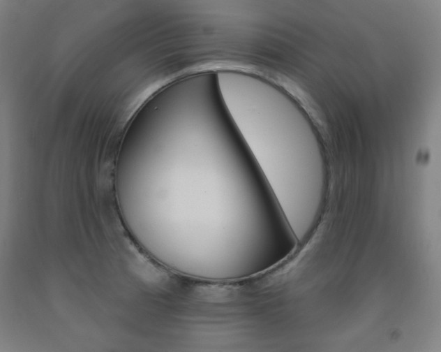 X0000093131185200709261029