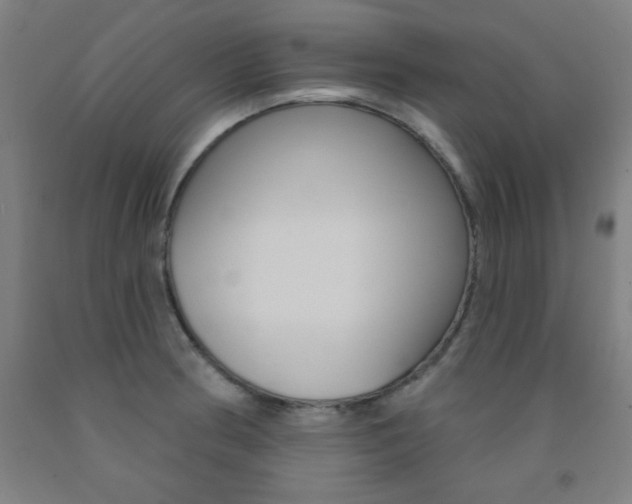 X0000093131186200709261029