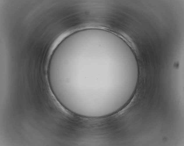 X0000093131188200709261029