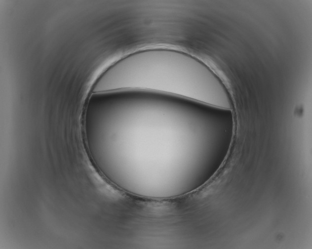 X0000093131189200709261029