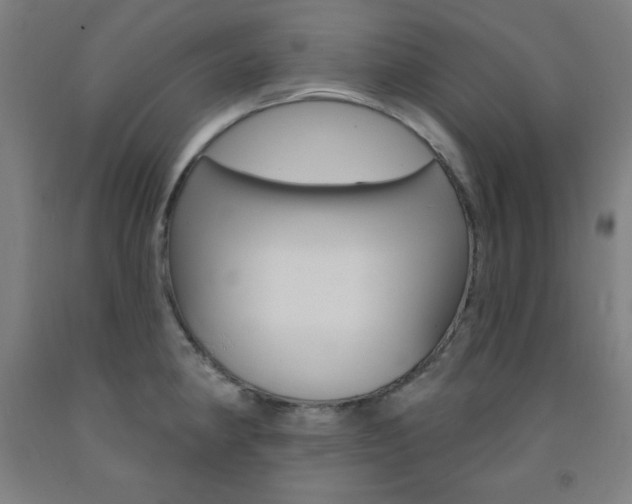 X0000093131190200709261029