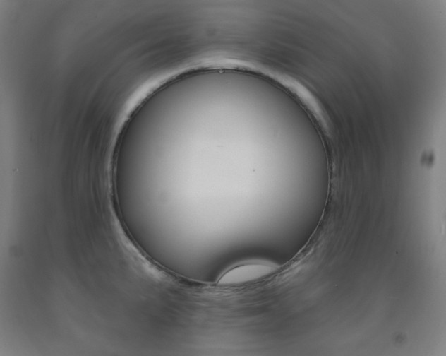 X0000093131191200709261029