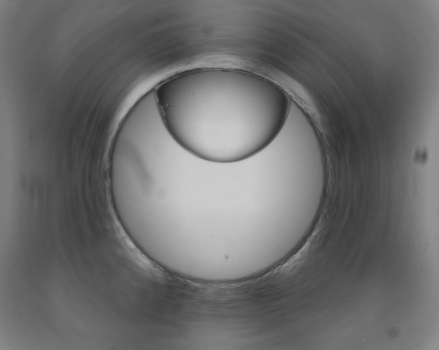 X0000093131192200709261029