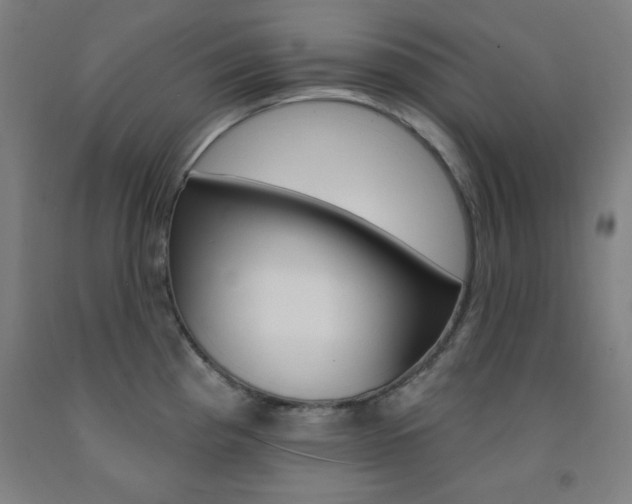 X0000093131193200709261029