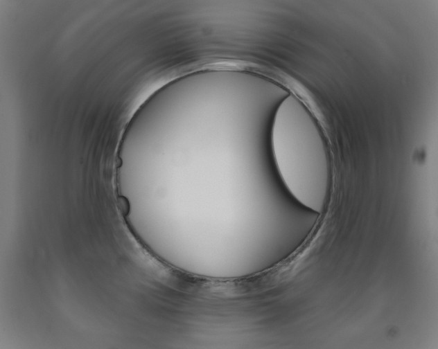 X0000093131194200709261029
