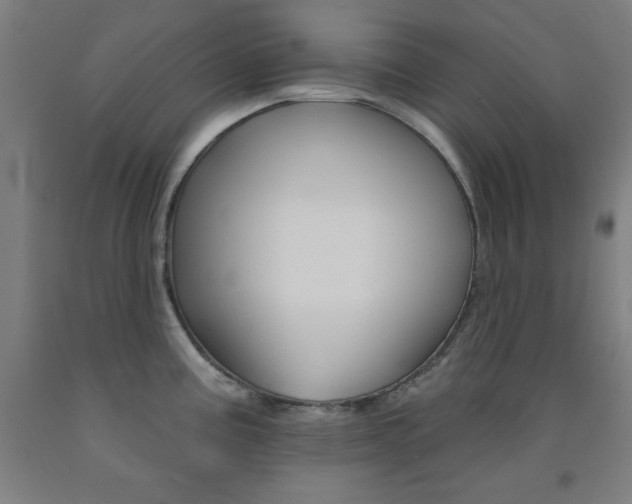 X0000093131195200709261029