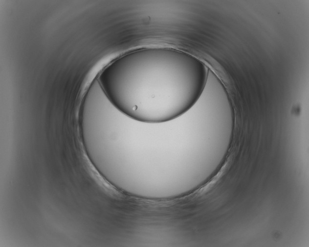 X0000093131196200709261029