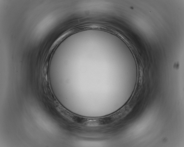 X0000093131198200709261029