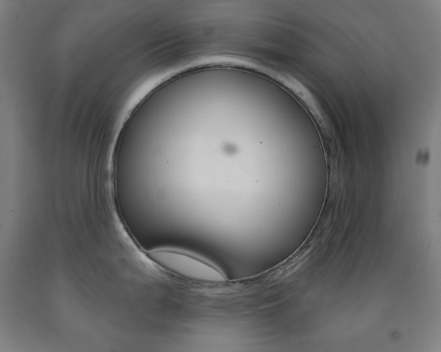 X0000093131199200709261029