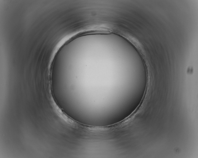 X0000093131200200709261029