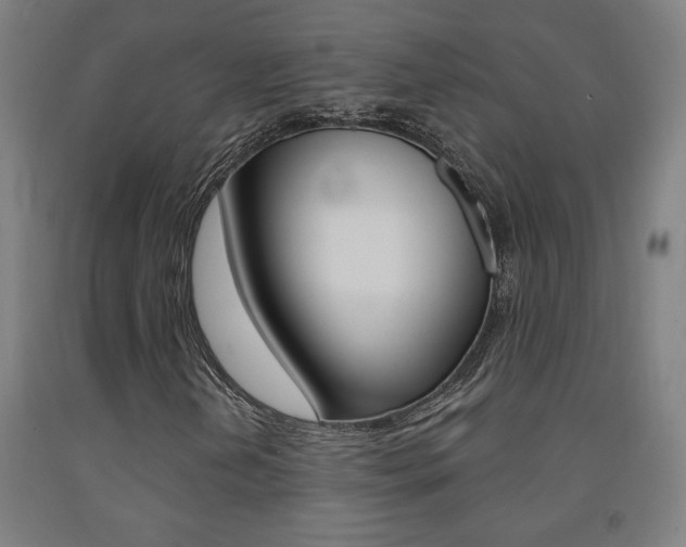 X0000093131202200709261028