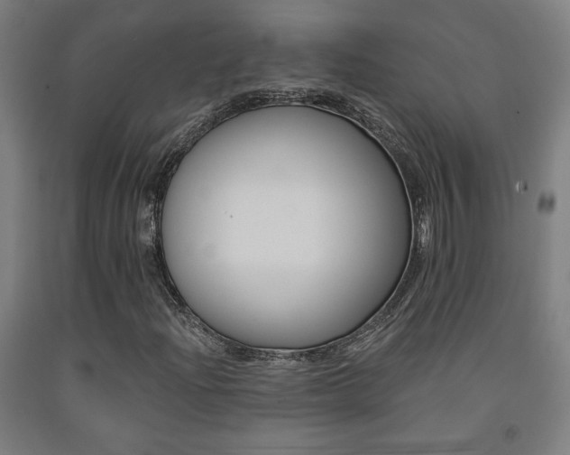 X0000093131204200709261028