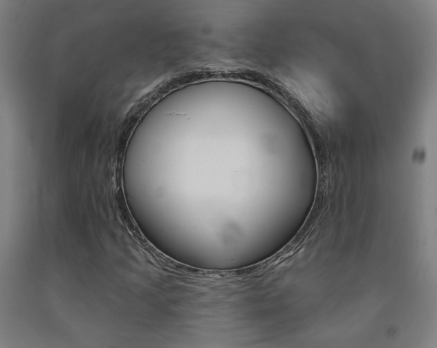 X0000093131205200709261028