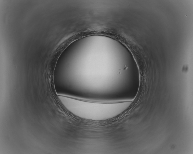 X0000093131206200709261028