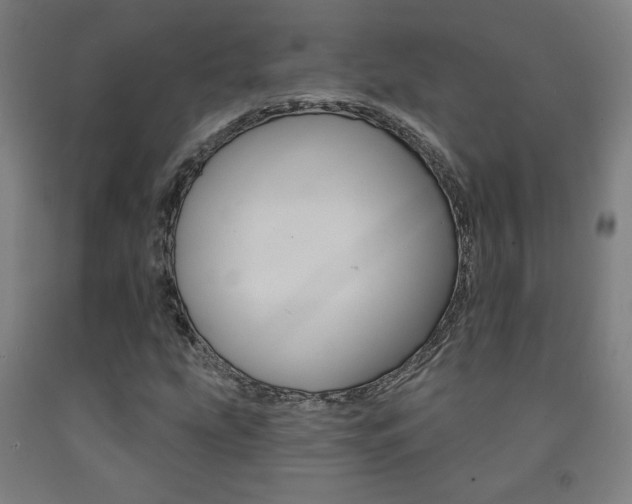 X0000093131207200709261028