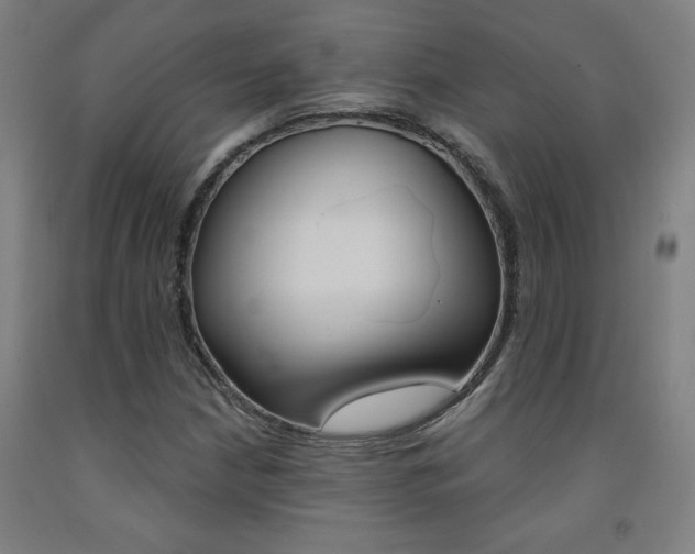 X0000093131210200709261028