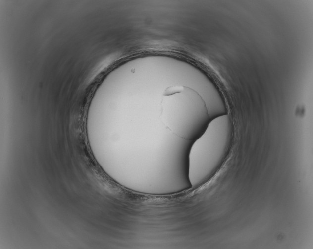 X0000093131211200709261028