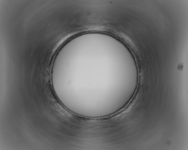 X0000093131212200709261028