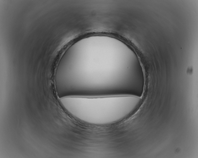X0000093131213200709261028