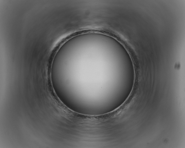 X0000093131214200709261028