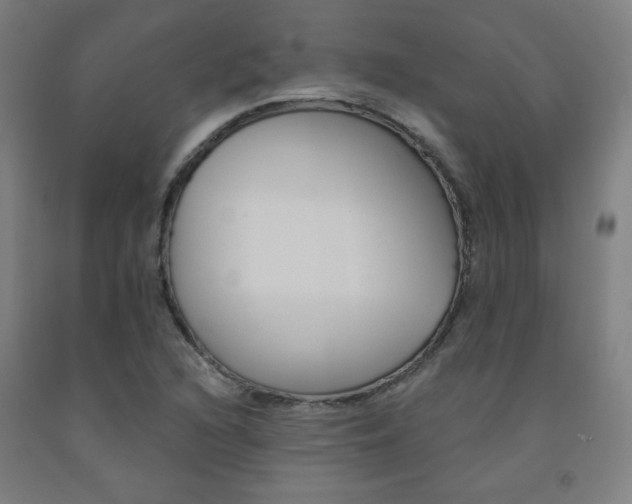 X0000093131216200709261028