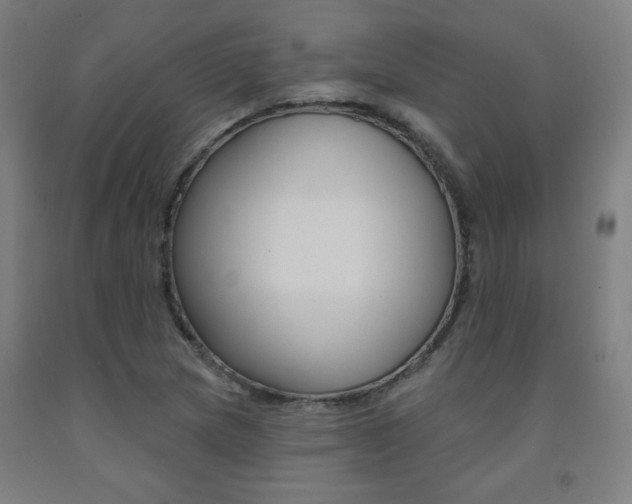X0000093131217200709261028