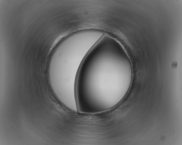 X0000093131218200709261028