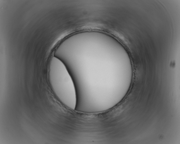 X0000093131219200709261028