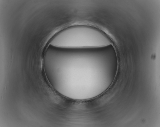 X0000093131221200709261028