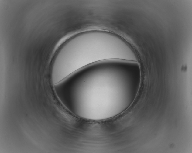 X0000093131222200709261028