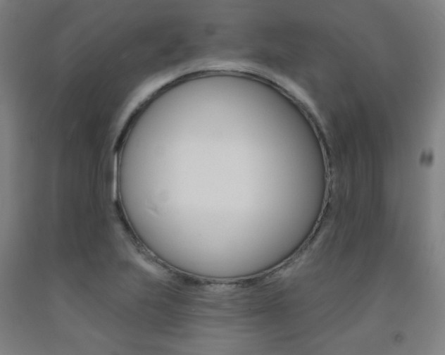 X0000093131223200709261028