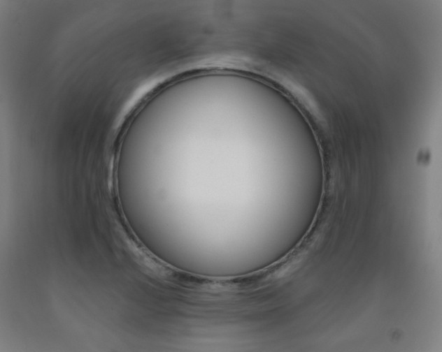 X0000093131224200709261028