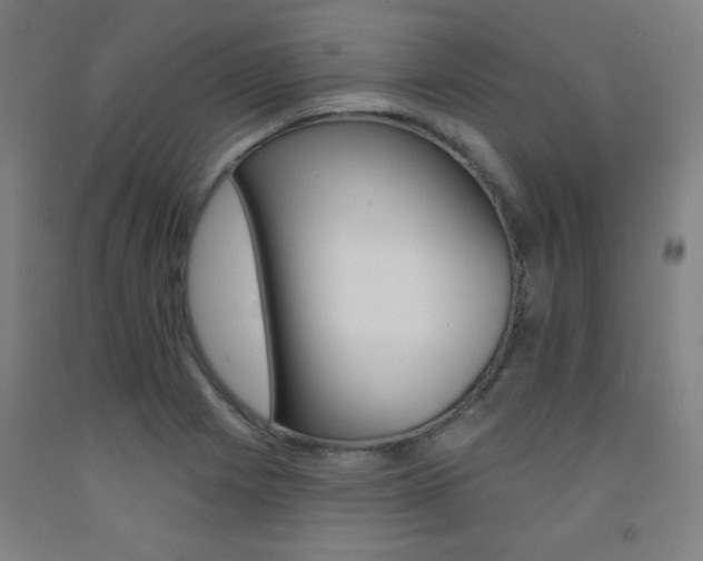 X0000093131225200709261028