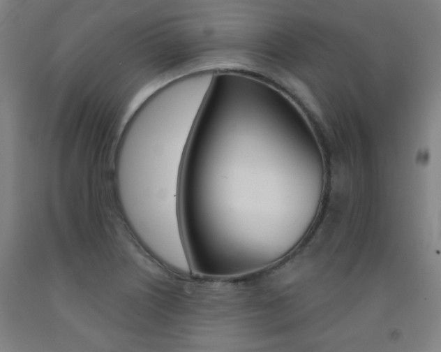 X0000093131226200709261028