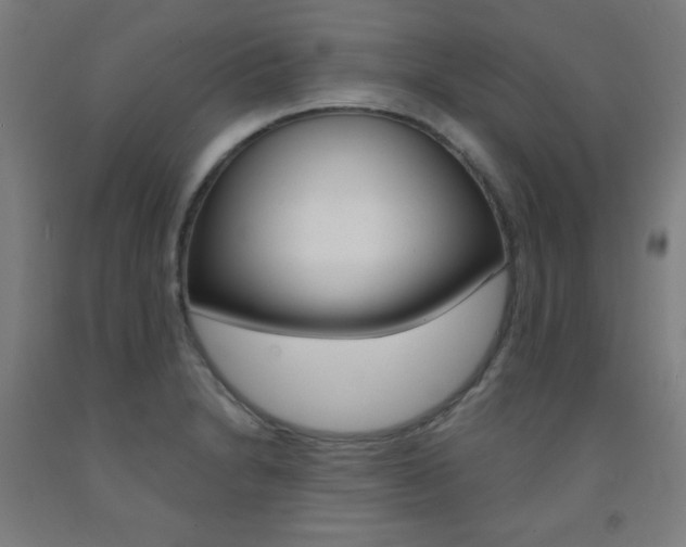 X0000093131230200709261028