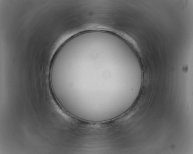 X0000093131231200709261028
