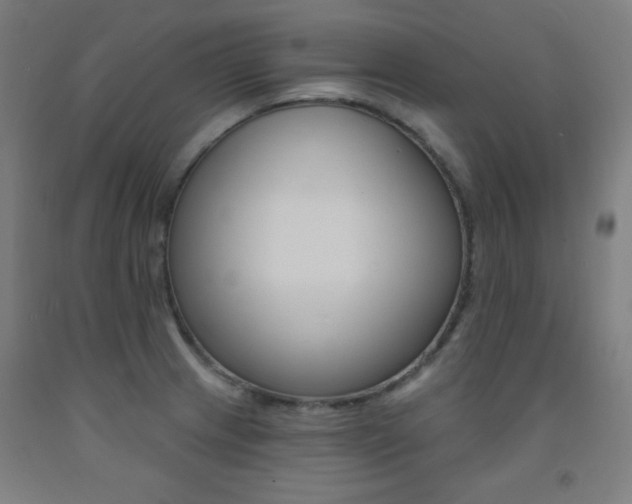 X0000093131233200709261028
