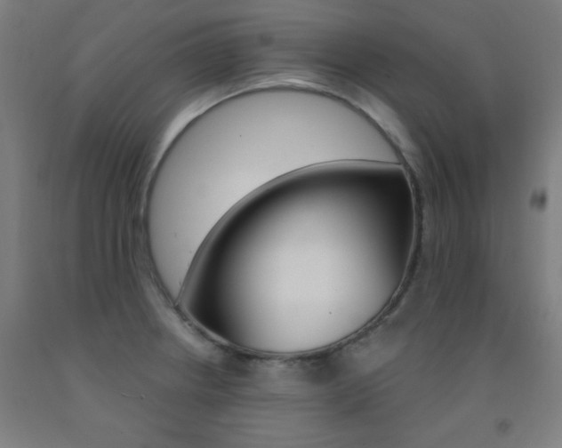 X0000093131234200709261028