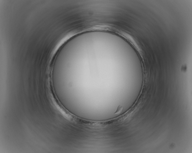 X0000093131235200709261028