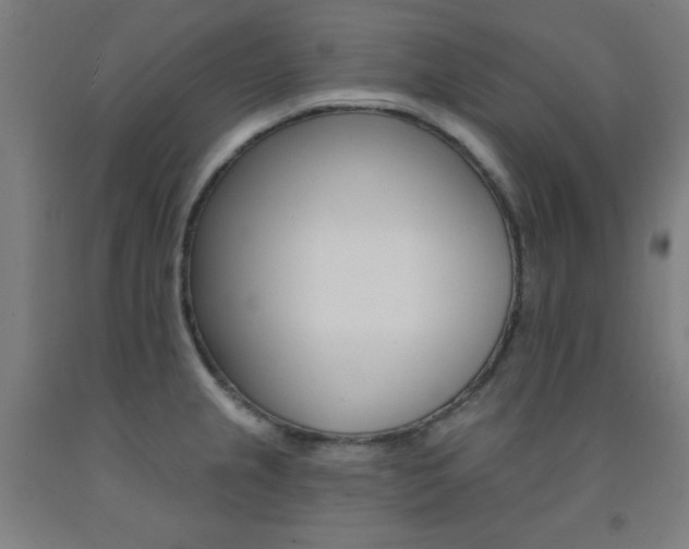 X0000093131237200709261028