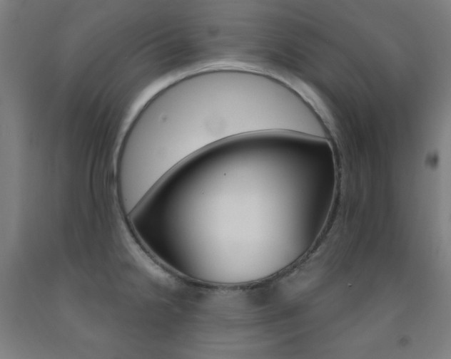 X0000093131238200709261028