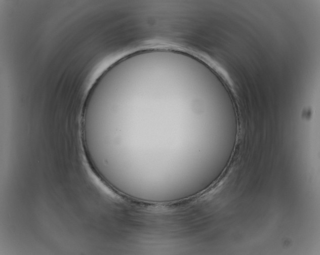 X0000093131239200709261028
