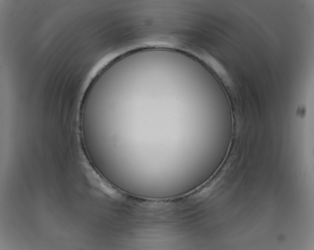 X0000093131240200709261028