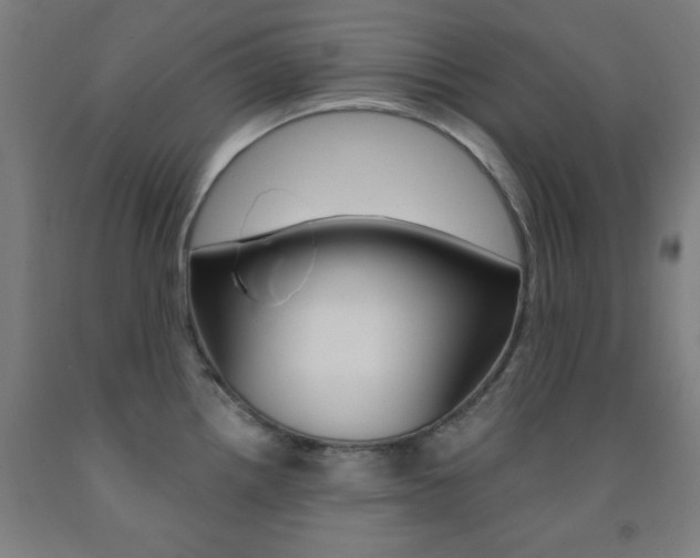 X0000093131242200709261028